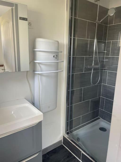 Charmant Appartement Avec Parking Privee Buxerolles Екстер'єр фото